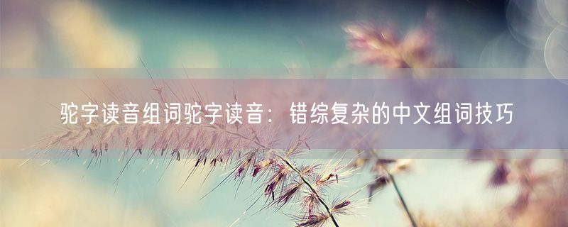 <strong>驼字读音组词驼字读音：错综复杂的中文组词技巧</strong>