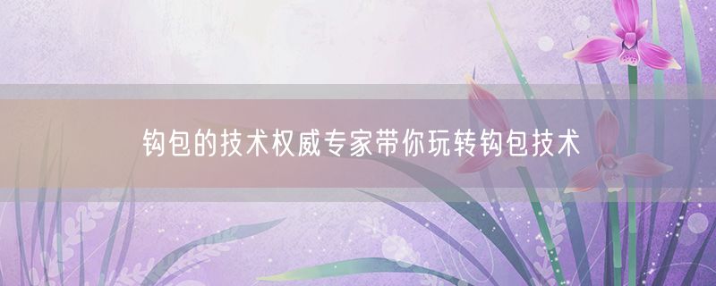 <strong>钩包的技术权威专家带你玩转钩包技术</strong>