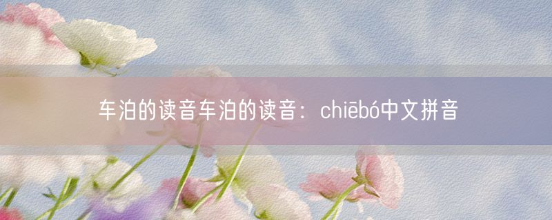 车泊的读音车泊的读音：chiēbó中文拼音