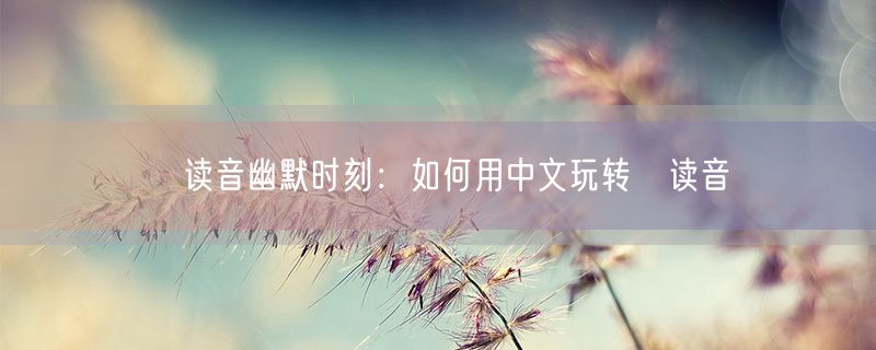 謔读音幽默时刻：如何用中文玩转謔读音