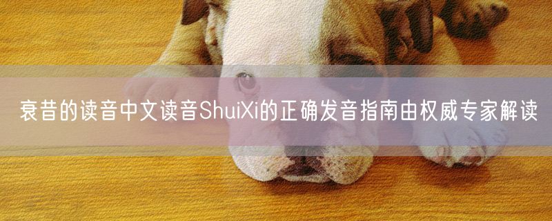 衰昔的读音中文读音ShuiXi的正确发音指南由权威专家解读