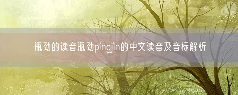 瓶劲的读音瓶劲píngjìn的中文读音及音标解析