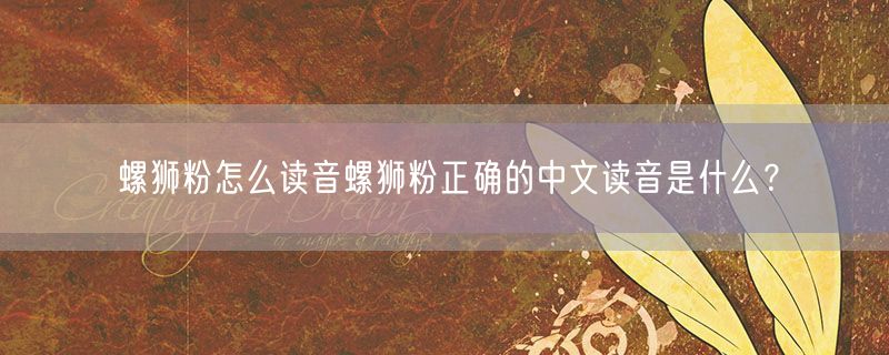 螺狮粉怎么读音螺狮粉正确的中文读音是什么？