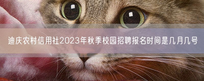 迪庆农村信用社2023年秋季校园招聘报名时间是几月几号